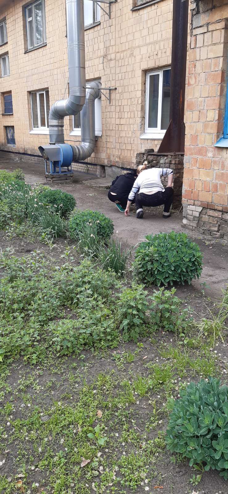 зображення_viber_2022-05-20_11-34-35-845