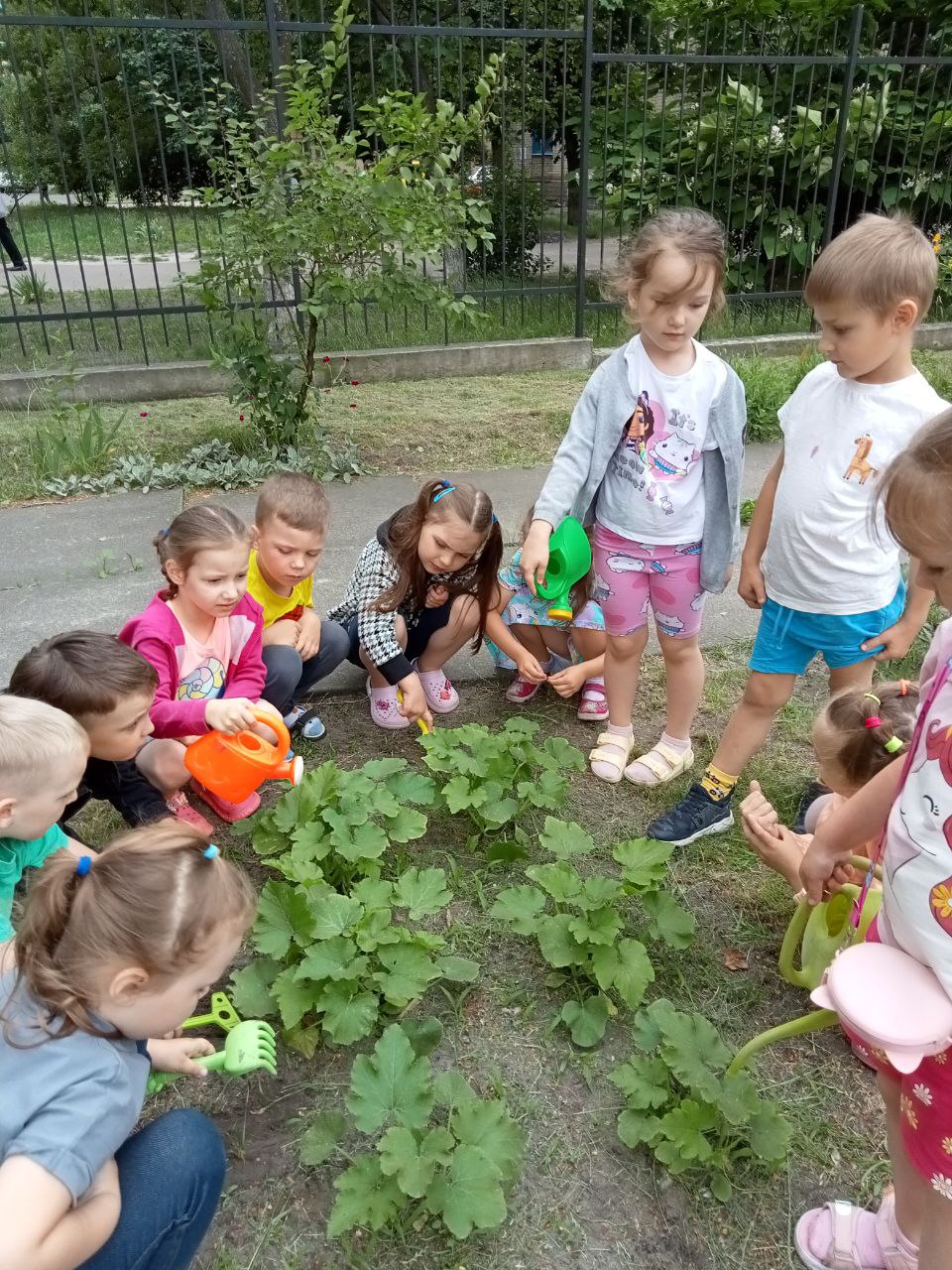 photo_2024-06-20_10-00-03