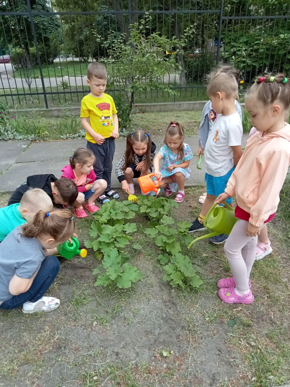photo_2024-06-20_10-00-47