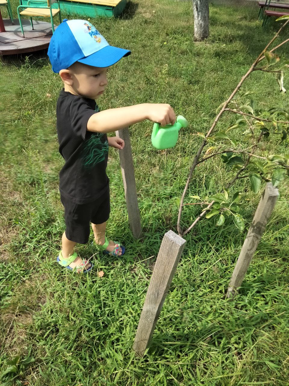 photo_2024-07-26_09-56-01